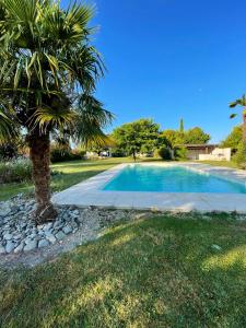 a palm tree next to a swimming pool at Villa de 7 chambres avec piscine privee jardin clos et wifi a Saint Palais du Ne 