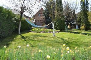a hammock in the yard of a house at Cabana Timeea in Ostrovu Corbului