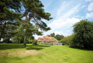 a house in a field with a tree in the foreground at Pear Tree Cottage Norfolk in Little Barningham
