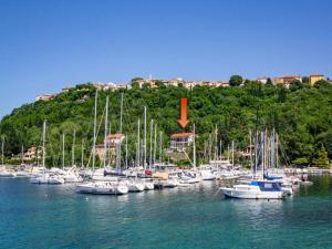 a bunch of boats are docked in a harbor at Apartment Marija-1 by Interhome in Omišalj