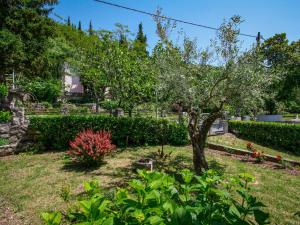 a tree in the middle of a garden at Apartment Marija by Interhome in Omišalj