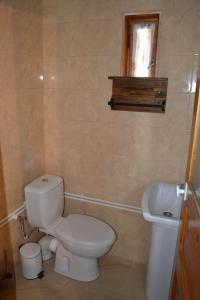 La salle de bains est pourvue de toilettes et d'un lavabo. dans l'établissement Cabana Timeea, à Ostrovu Corbului