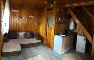 ein Wohnzimmer mit Sofa und eine Küche in der Unterkunft Cabana Timeea in Ostrovu Corbului