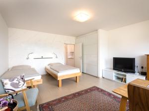 Μια τηλεόραση ή/και κέντρο ψυχαγωγίας στο Apartment B511 by Interhome +25 φωτογραφίες