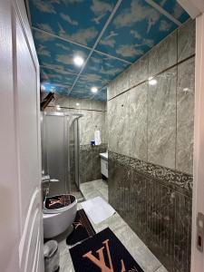 a bathroom with a shower and a sink and a toilet at Cihangir by Aydin Suite Hotel in Istanbul