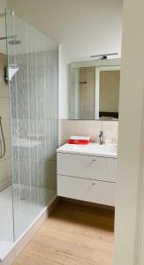 W łazience znajduje się prysznic, umywalka i lustro. w obiekcie L'Aubier w mieście Tenneville
