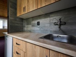 A kitchen or kitchenette at Studio Nový Svět 417-2 by Interhome