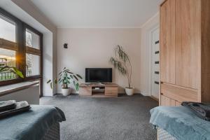Televízia a/alebo spoločenská miestnosť v ubytovaní Apartament w Centrum Szczawnicy + 1 fotografia