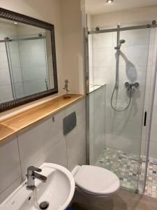 y baño con ducha, aseo y lavamanos. en Im Zentrum, praktisch und ruhig en Greifswald