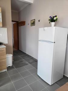 Kuchyň nebo kuchyňský kout v ubytování Roumeliotis house