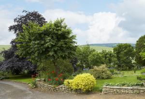 a garden with a tree and a stone wall at The Loft in South Stoke +12 photos