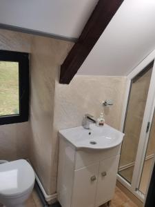 uma casa de banho com um lavatório branco e um WC. em Casa Dorin em Orşova