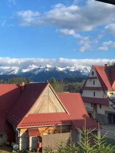 a group of roofs with snow covered mountains in the background at Lila in Bukowina Tatrzańska