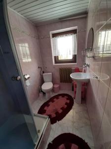 a bathroom with a toilet and a sink at Lila in Bukowina Tatrzańska +18 photos