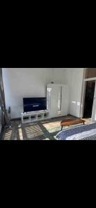 ein Wohnzimmer mit einem TV und einem Sofa in der Unterkunft Sans souci in Brüssel