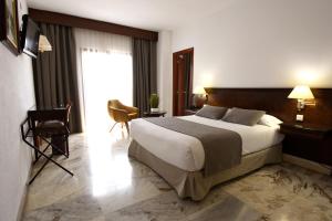 een hotelkamer met een groot bed en een raam bij Hotel Turia in Valencia