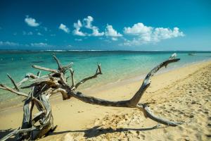 Imagen de la galería de Villa Vanda by Oazure, en Bel Ombre