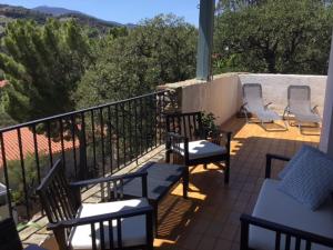 Afbeelding uit fotogalerij van Les mimosas in Collioure