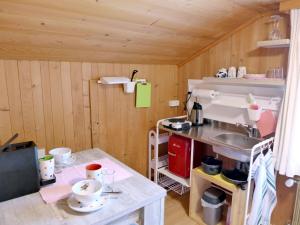 a small kitchen with a sink and a counter at Apartment Vreneli by Interhome in Lauterbrunnen