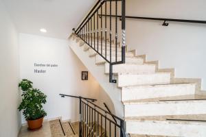 Fotografie z fotogalerie ubytování Apartments Villa Sofia v Dubrovníku