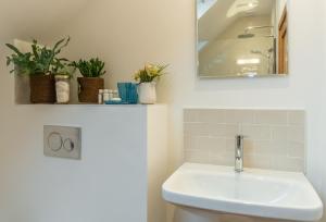 een badkamer met een wastafel, een spiegel en planten bij Inkpen Cottage in Robertsbridge