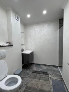 a bathroom with a toilet and a sink at Apartament 1 Lalelelor in Năsăud