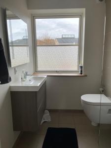 a bathroom with a sink and a toilet and a window at Søglimt in Viborg