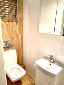Baño blanco con aseo y lavamanos en 1 Bedroom Lux Apartment Center Vincent, en Wroclaw