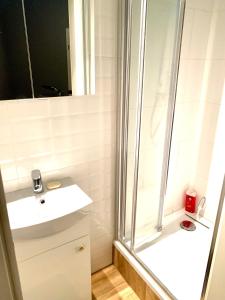W łazience znajduje się prysznic i umywalka. w obiekcie 1 Bedroom Lux Apartment Center Vincent we Wrocławiu