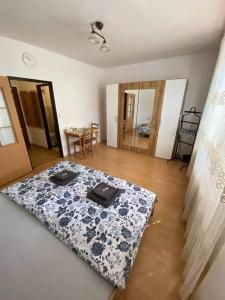 Kuchyň nebo kuchyňský kout v ubytování Apartmán U Mendláku