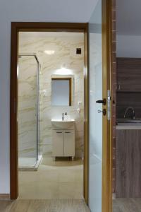 W łazience znajduje się umywalka, prysznic i lustro. w obiekcie 4REST w mieście Żytno