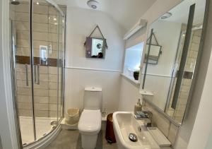 a bathroom with a toilet and a sink and a shower at Red Herring in Craster +51 photos