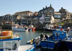 a group of boats docked in a harbor with buildings at Seafarers in Seahouses