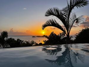 a sunset over a swimming pool with a palm tree at Sunset Palm - Villa Créole avec piscine face au coucher de soleil et à la réserve Cousteau in Bouillante