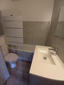uma casa de banho com um lavatório branco e um WC. em location Appartement Bonascre toutes saisons em Ax-les-Thermes