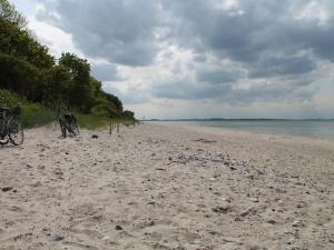 un vélo garé sur une plage de sable près de l'eau dans l'établissement "Sonnenliebe" Ferienhaus, à Groß Schwansee