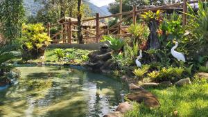 un étang dans un jardin avec des cygnes dans l'établissement Pousada Sítio Val Paraíso, à Sana