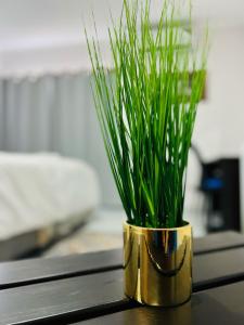 Eine goldene Vase mit grünem Gras auf dem Tisch. in der Unterkunft Maun Nest Hotel in Maun