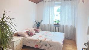 Fotografia z galérie ubytovania Hostel POPLAWOK vo Varšave