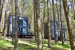 a glass house in the woods with trees at Premium Forest Bungalow with HOT TUB in Ažuluokesa