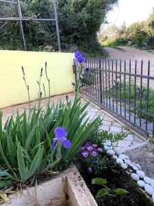 Gallery image of Вилла « Вдохновение» Dream” in Utjeha