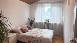 Fotografia z galérie ubytovania Hostel POPLAWOK vo Varšave