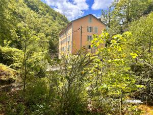 a large building in the middle of a forest at Notre-Dame d'Escouloubre in Escouloubre