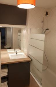 ein Bad mit einem Waschbecken und einer Dusche in der Unterkunft 62 m2 Rez de jardin, terrasse , 6 lits et parking in Annecy
