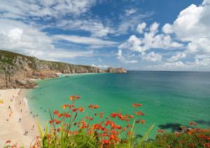 a beach with people in the water and red flowers at Hendys Loft in St Ives