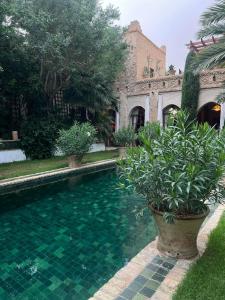 a swimming pool in front of a house with plants at DAR ELHADIR in Tozeur