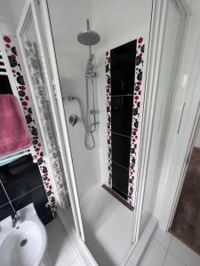 een badkamer met een douche, een wastafel en een spiegel bij Nesta Apartament in Fălticeni