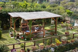 a garden with a gazebo and a bunch of plants at B&B La Casa Nel Giardino in Piano di Sorrento
