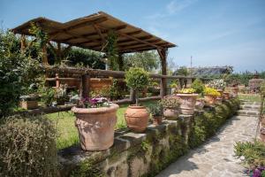 una fila de macetas en una pared de piedra en B&B La Casa Nel Giardino, en Piano di Sorrento