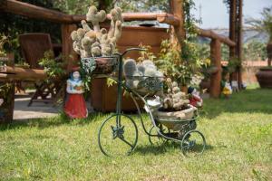 a bike with a cactus in a yard at B&B La Casa Nel Giardino in Piano di Sorrento